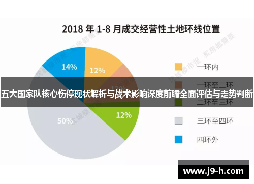 五大国家队核心伤停现状解析与战术影响深度前瞻全面评估与走势判断